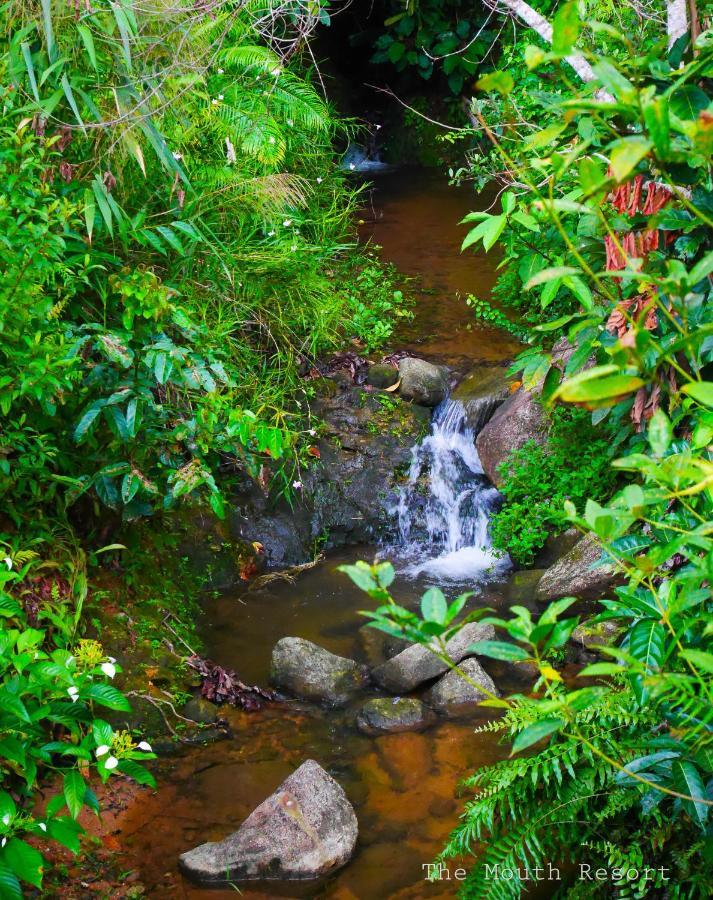 The Mouth Resort - Sha Extra Plus Khao Lak Bagian luar foto