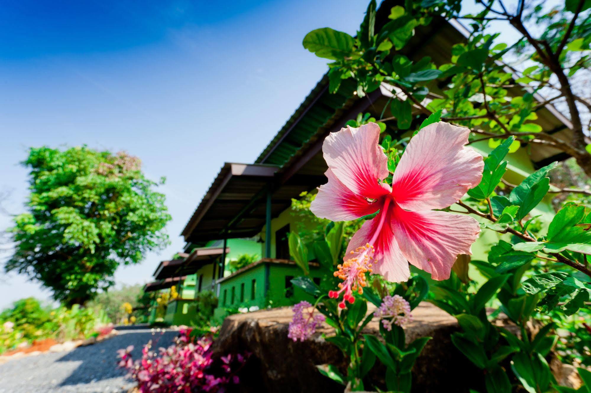 The Mouth Resort - Sha Extra Plus Khao Lak Bagian luar foto